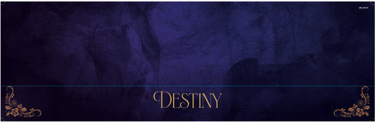 2NC-30737-Shelf Talker-Destiny